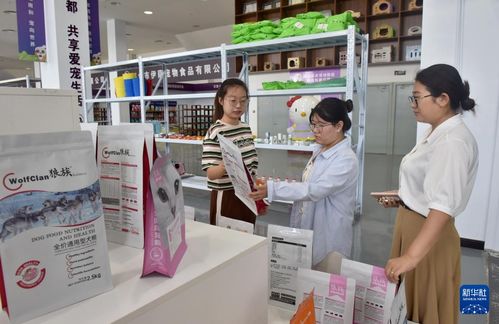 “上网出村”，河北邢台乡村电商铺就产业振兴快车道